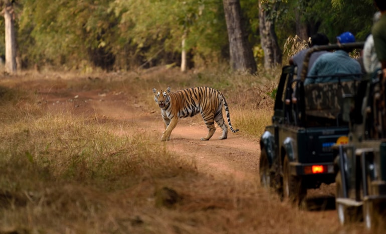 बक्सा टाइगर रिजर्व पश्चिम बंगाल – Buxa Tiger Reserve Tourism west Bangal In Hindi