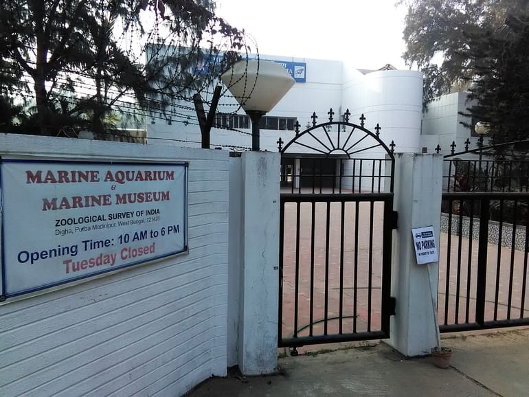 मरीन एक्वेरियम ऑफ़ जूलॉजिकल सर्वे ऑफ़ इंडिया - Marine Aquarium of Zoological Survey of India, Digha in Hindi