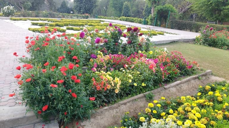 रोज गार्डन बठिंडा - Rose Garden, Bhatinda in Hindi