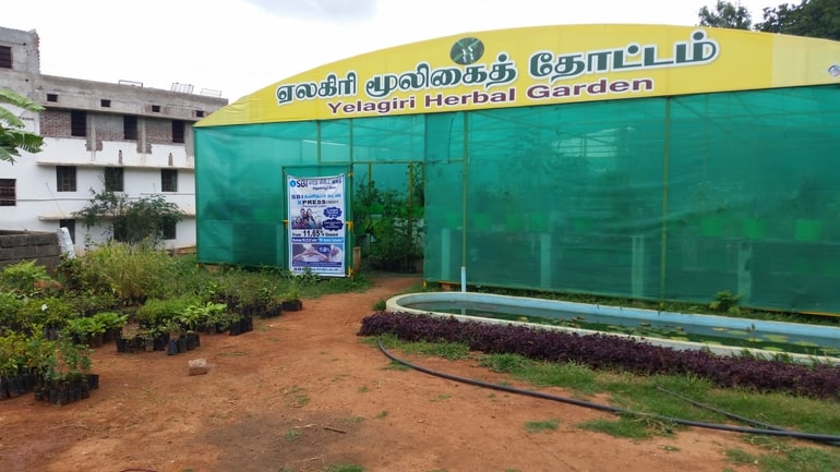 गवर्नमेंट हर्बल फार्म – Government Herbal Farm, Yelagiri in Hindi