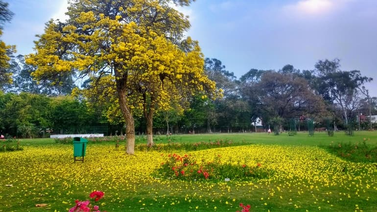 रोज गार्डन का लेआउट - Layout of Rose Garden in Hindi