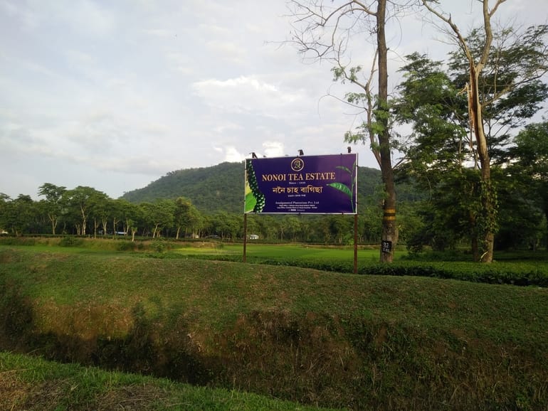 नोनोई टी एस्टेट – Nonoi Tea Estate Assam in Hindi