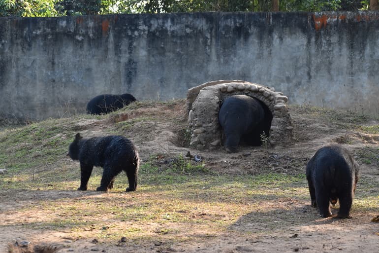 कोहिमा जू – Zoological Park Or The Kohima Zoo in Hindi
