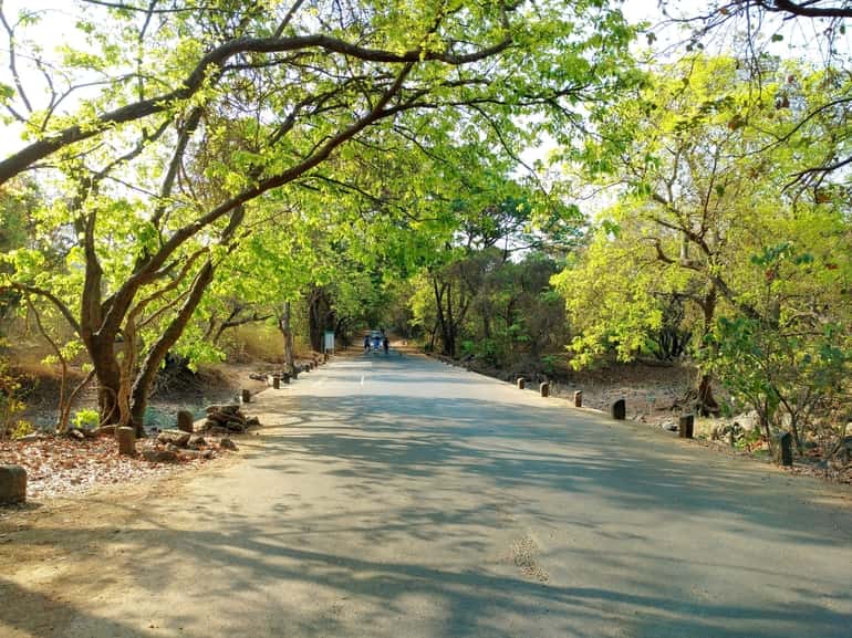 संजय गांधी राष्ट्रीय उद्यान घूमने जाने का बेस्ट टाइम – Best time to visit Sanjay Gandhi National Park in Hindi