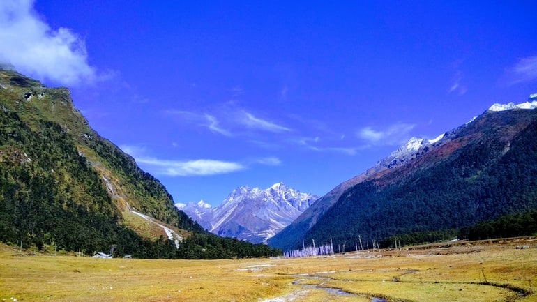 युमथांग घाटी का मौसम और घूमने जाने का सबसे अच्छा समय - Yumthang Valley Weather and Best Time to Visit in Hindi