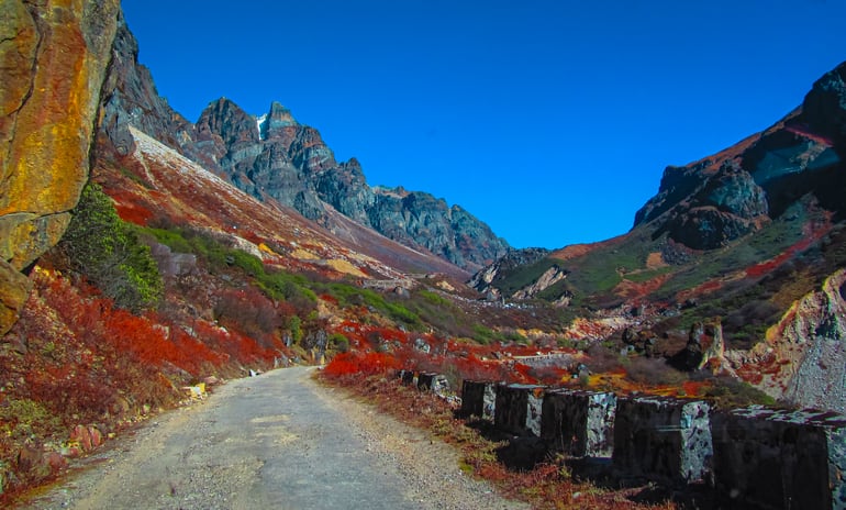सड़क मार्ग से युमथांग घाटी केसे पहुचें – How to reach Yumthang Valley by Road
