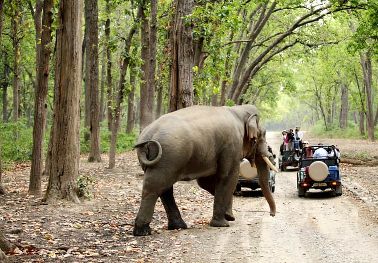 नागरहोल नेशनल पार्क सफारी - Nagarhole National Park Safari in Hindi