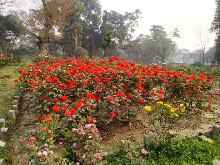 आचार्य जगदीश चंद्र बोस इंडियन बोटैनिक के आकर्षण –Attractions At Acharya jagadish chandra bose indian botanic garden in Hindi