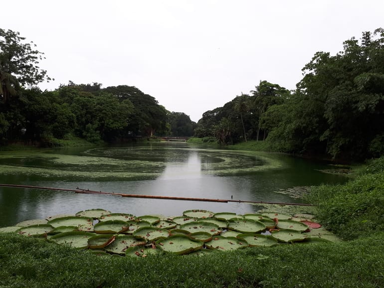 बॉटनिकल गार्डन घूमने जाने का बेस्ट टाइम – Best time to visit the Botanical Garden in Hindi