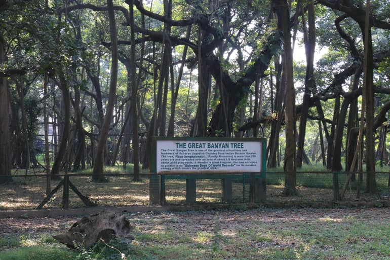 बॉटनिकल गार्डन का ग्रेट बरगद का पेड़ – Great Banyan Tree at Botanical Garden in Hindi