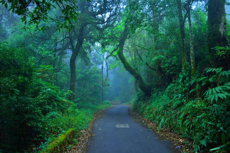 त्रिचुर फारेस्ट – Trichur Forest in Hindi