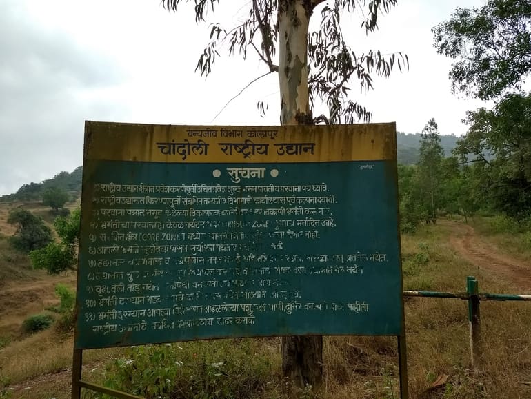 चंदोली राष्ट्रीय उद्यान की यात्रा के लिए टिप्स – Tips for visiting Chandoli National Park in Hindi