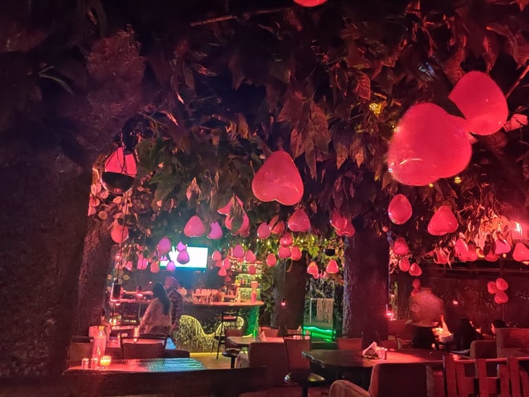 रेनफॉरेस्ट रेस्टोरेंट एंड बार – Rainforest Restaurant And Bar in Hindi