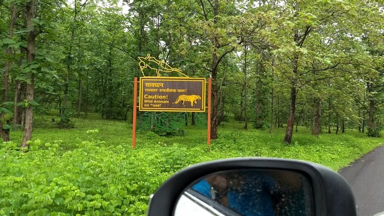 गुगामल राष्ट्रीय उद्यान की यात्रा के लिए टिप्स – Tips for visiting Gugamal National Park in Hindi