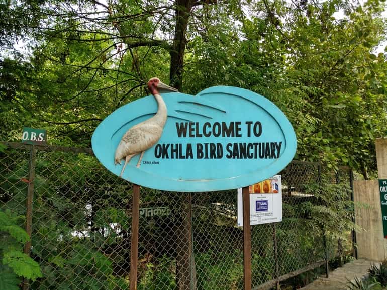 ओखला पक्षी अभयारण्य – Okhla Bird Sanctuary in Hindi