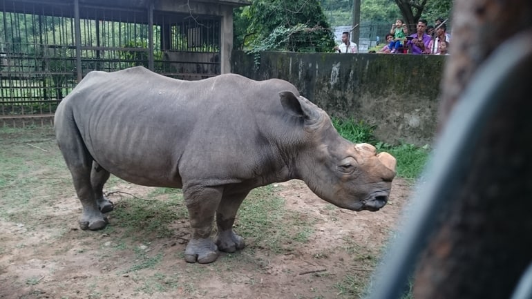 गुवाहाटी जू घूमने जाने का सबसे अच्छा समय – Best Time To Visit Guwahati Zoo in Hindi