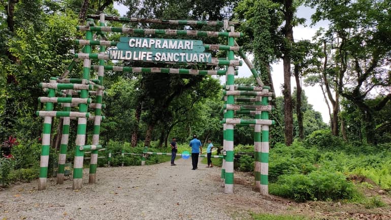 छपरामारी वन्यजीव अभयारण्य - Chapramari Wildlife Sanctuary in Hindi
