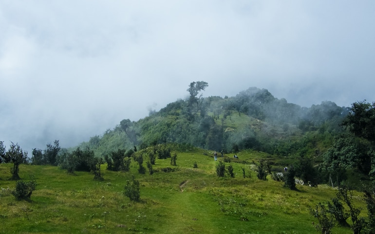 सिंगलिला नेशनल पार्क – Singalila National Park in Hindi