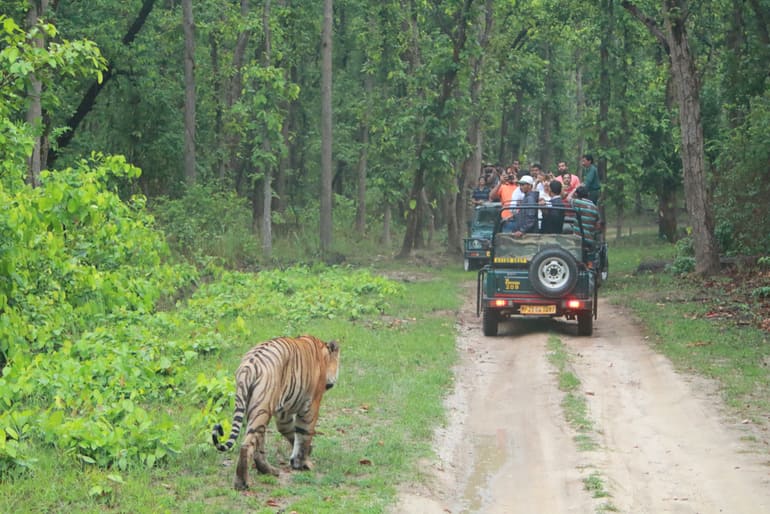 केरल के प्रमुख राष्ट्रीय उद्यान – Famous National Park of Kerala in Hindi