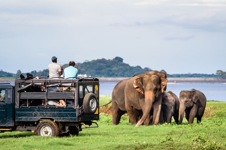 गुगामाल राष्ट्रीय उद्यान के आकर्षण - Attractions in Gugamal National Park in Hindi