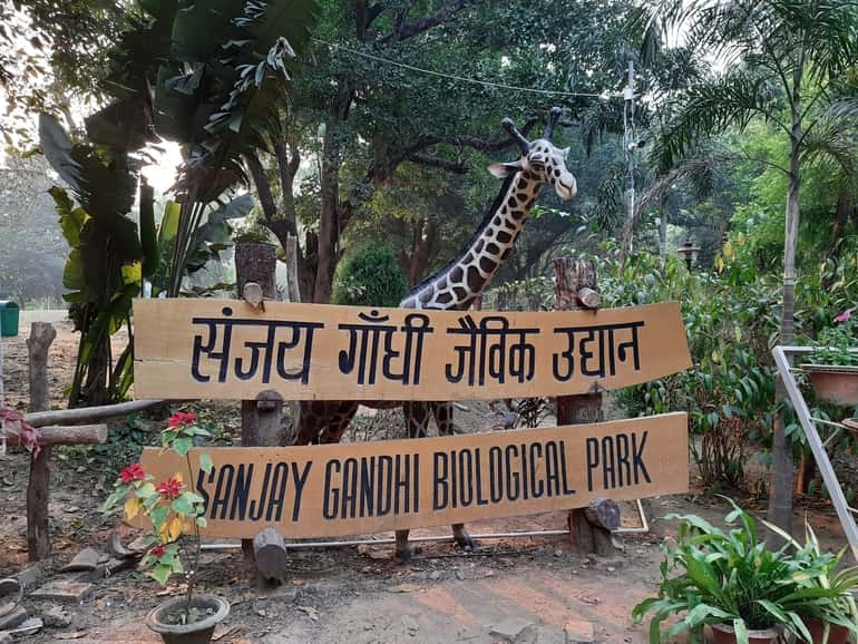 संजय गांधी वनस्पति उद्यान – Sanjay Gandhi Botanical Garden , Patna in Hindi