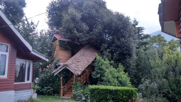 ट्री हाउस कॉटेज - Tree House Cottages in Hindi