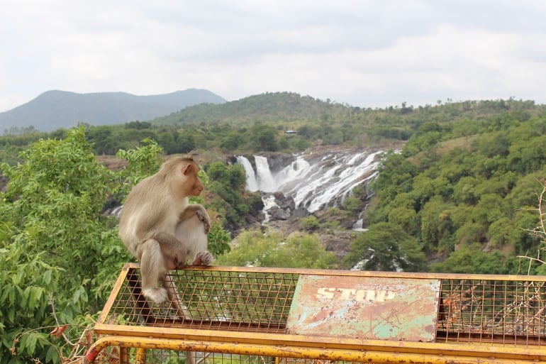 शिवनासमुद्र वाटर फाल्स की ट्रिप के लिए टिप्स – Tips for Visiting Shivanasamudra Water Falls in Hindi