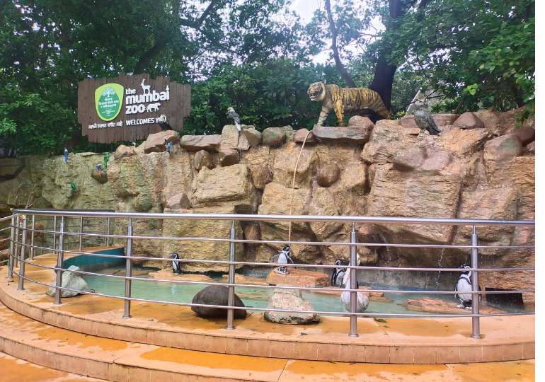 मुंबई जू घूमने जाने का सबसे अच्छा समय - Best time to visit Mumbai zoo in Hindi